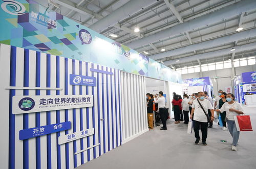 服贸会教育咨询服务专题展 汇聚智慧，点亮未来教育新篇章